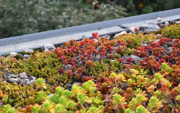 the cost of Blackdyke green roof installation