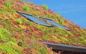 Blackdyke living roof systems